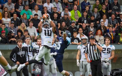 Elmhurst Bluejays Fall To Swarco Raiders In Austria